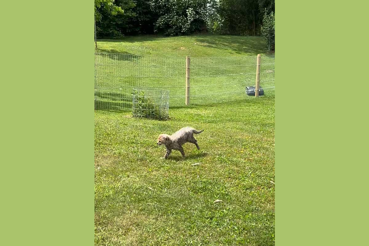Kito ist jetzt für die Besucher sichtbar!